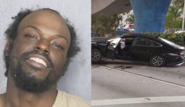 Attempted murder suspect arrested after fleeing from Hollywood police, causing car crash