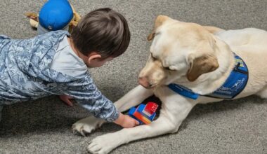 Five ways to give back and get involved in your community