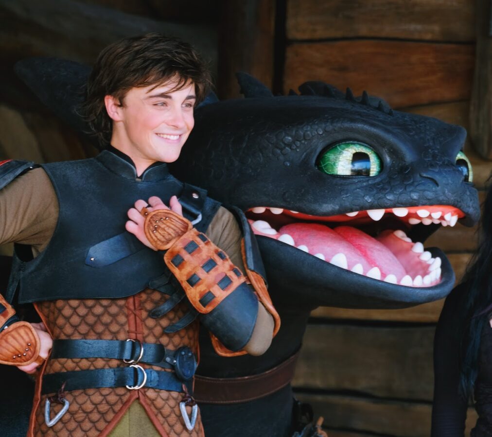 Hiccup, Toothless