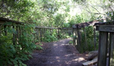Boardwalk removal start of Jacksonville park improvements