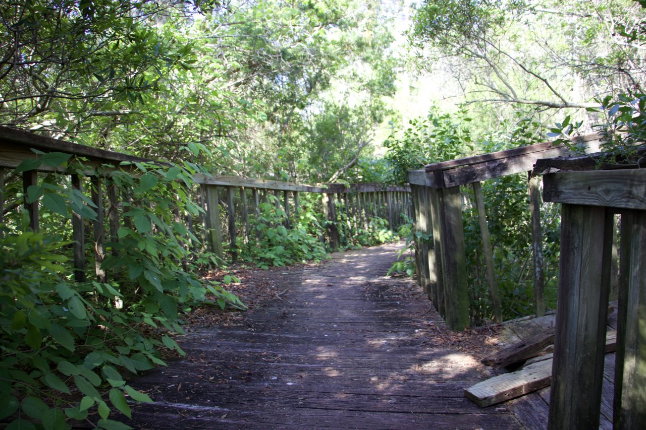 Boardwalk removal start of Jacksonville park improvements