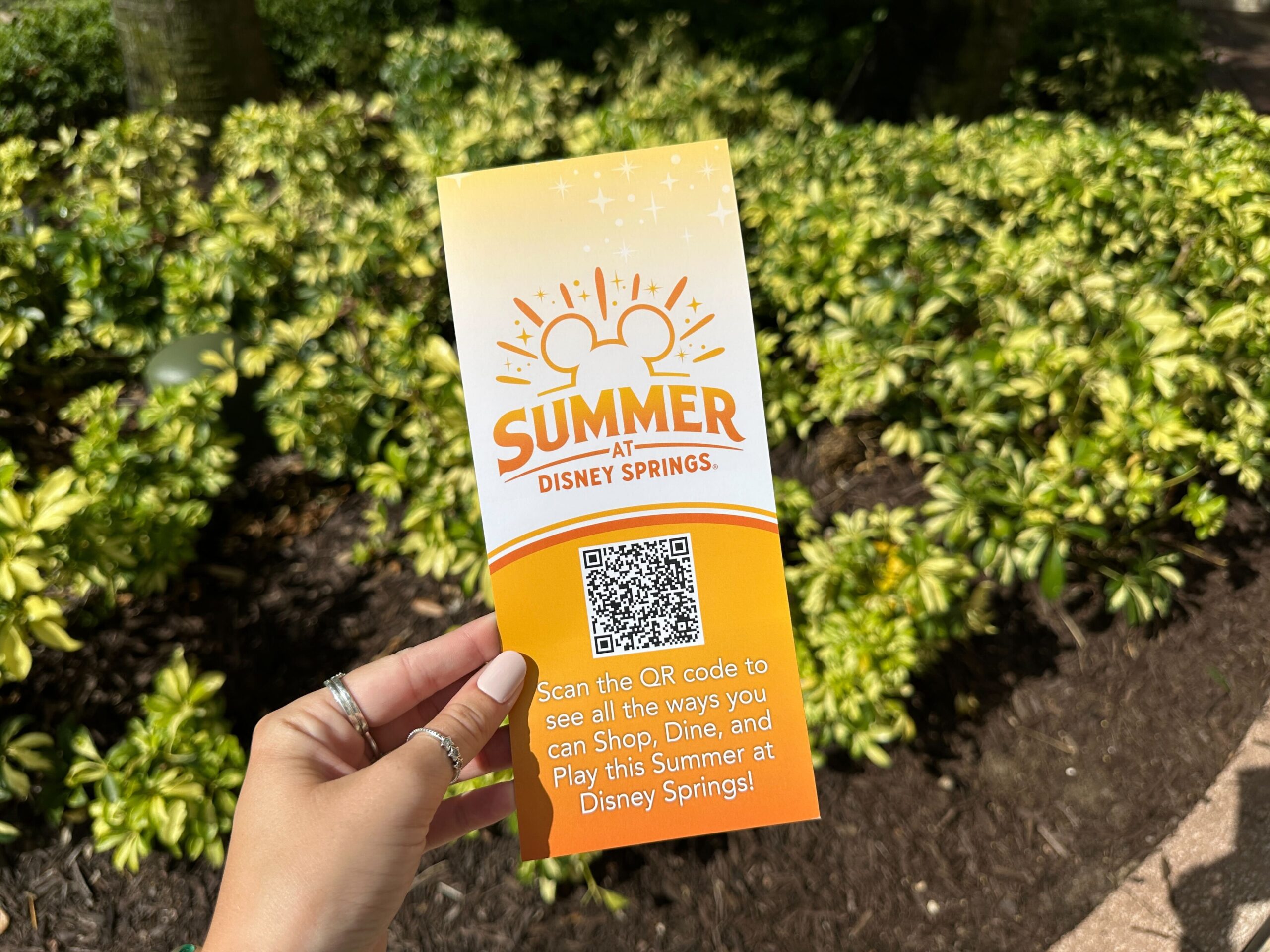 Disney Springs debuts guide maps for 2026 Cool Kids Summer