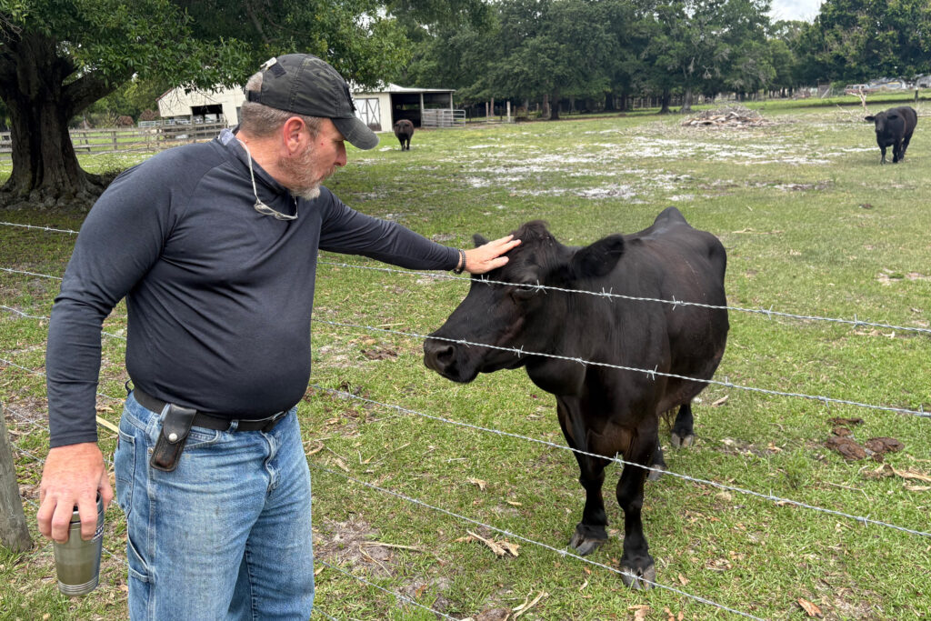Eric Miller lives on five acres with his wife, six cows, a bull, three goats and more than 20 chickens. Credit: Amy Green/Inside Climate News