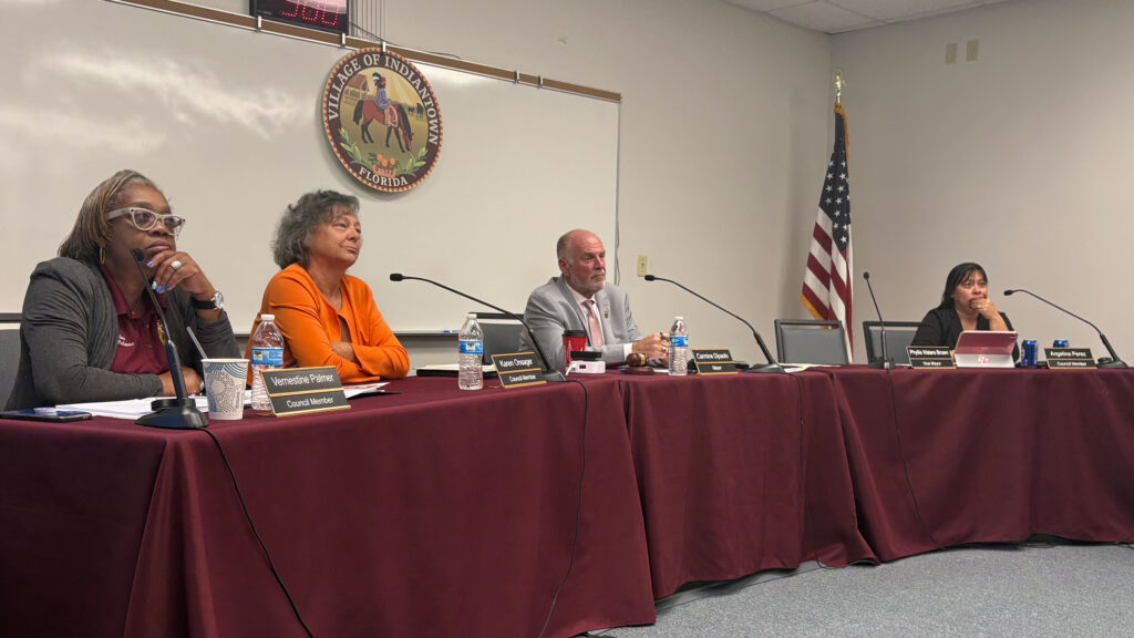 Village Council Member Vernestine Williams-Palmer (left) considered hours of testimony before agreeing to allow one of the data center proposals to move forward. Credit: Amy Green/Inside Climate News
