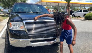 After years of decline, lovebugs are back on Florida roads