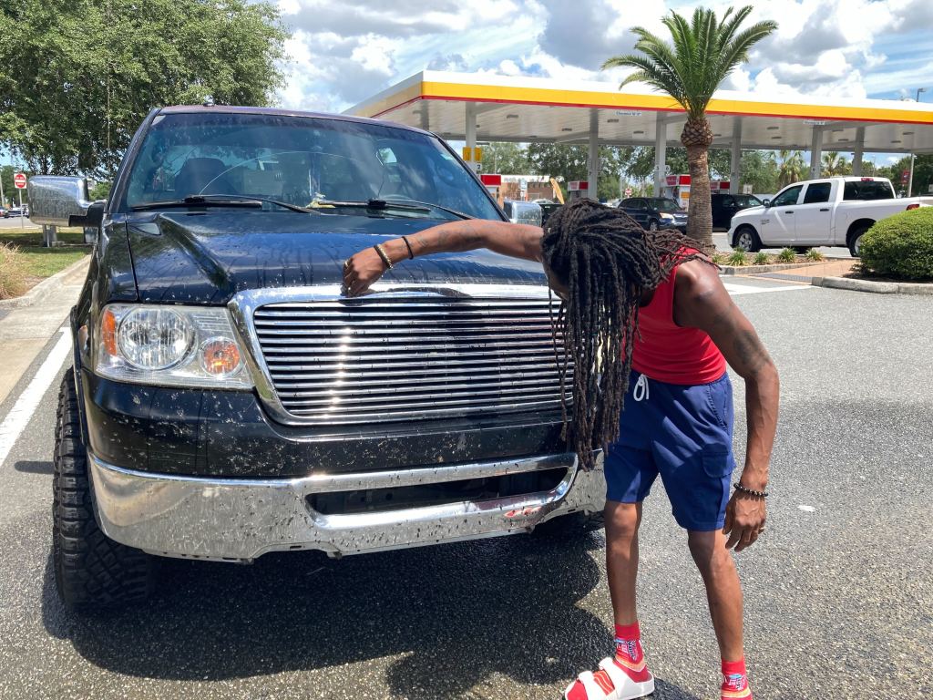 After years of decline, lovebugs are back on Florida roads