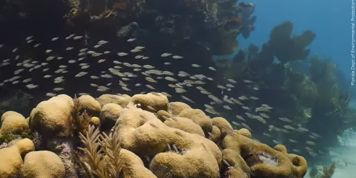 63-year-old Mississippi woman dies after snorkeling incident in Florida Keys