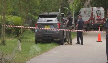 Up to 80 cats found at Southside home, ACPS chief says some may be dead