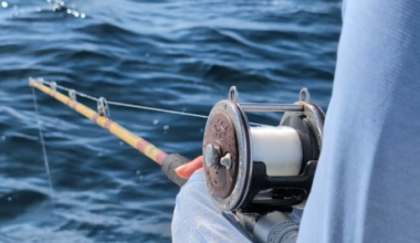 Red Snapper fishing season put on pause one day before Florida anglers set to hit the water