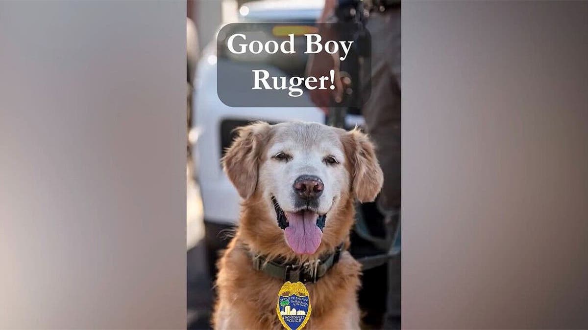 K-9 Ruger smiling in a picture.