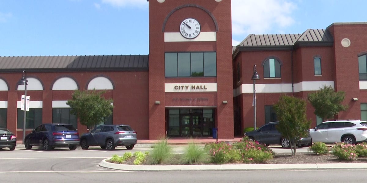 Jacksonville council members push back on proposed voting bill