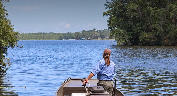 Boating Accidents Rise In Crowded Florida Waters – Tallahassee Reports