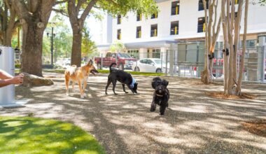 Tampa reopens redesigned, rebuilt Herman Massey Park – 83 Degrees Media