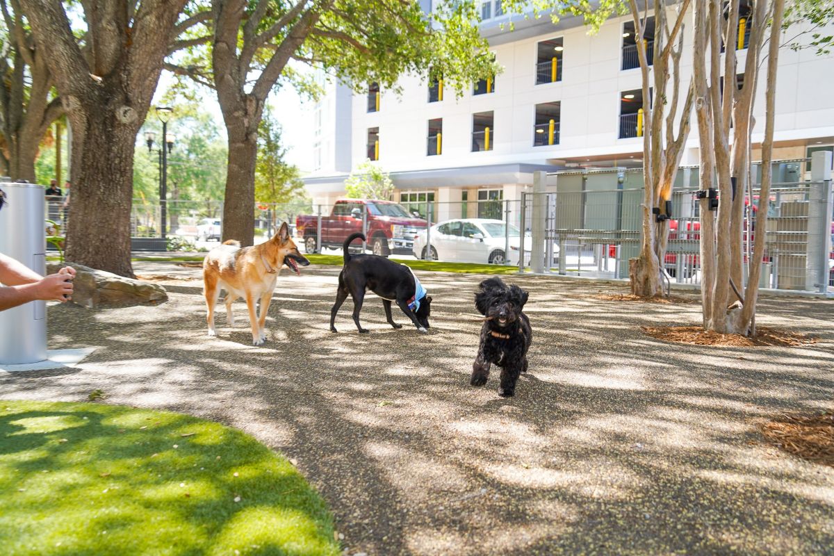 Tampa reopens redesigned, rebuilt Herman Massey Park – 83 Degrees Media