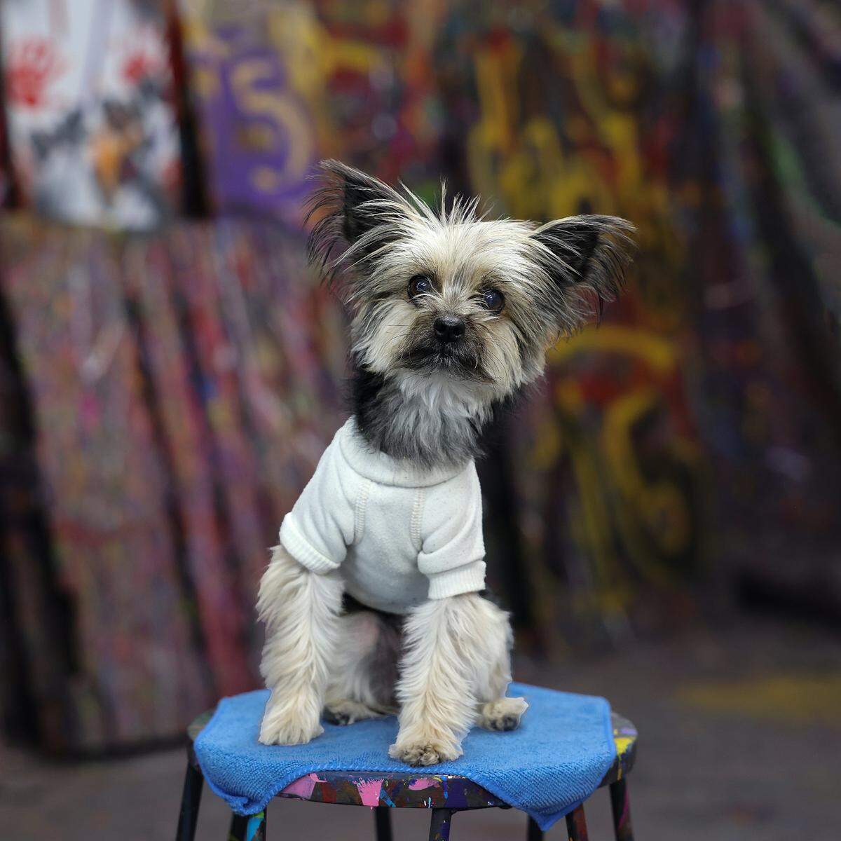 Versace is part of the staff at Break Room Miami. Break Room Miami, a Black-owned business in Allapattah, offers customers a unique form of stress relief by allowing them to smash items such as old electronics and used furniture in a controlled environment. Patrons are outfitted with protective body suits and goggles before entering the "rage room," where they can safely break objects with bats and hammers. The business, which opened in 2019, is part of a national trend catering to people seeking unconventional outlets for stress and anger.