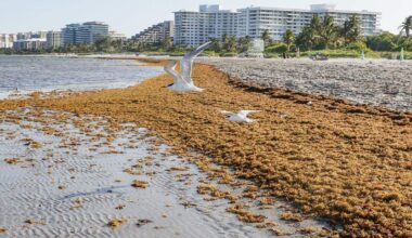 Miami-Dade issues water advisory for Crandon Park North
