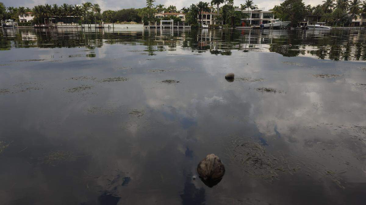 Miami Beach freezes water and sewer rate hikes despite needs