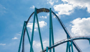 SeaWorld Orlando giving free tickets to veterans, while Glow or Go escape room does the same for teachers