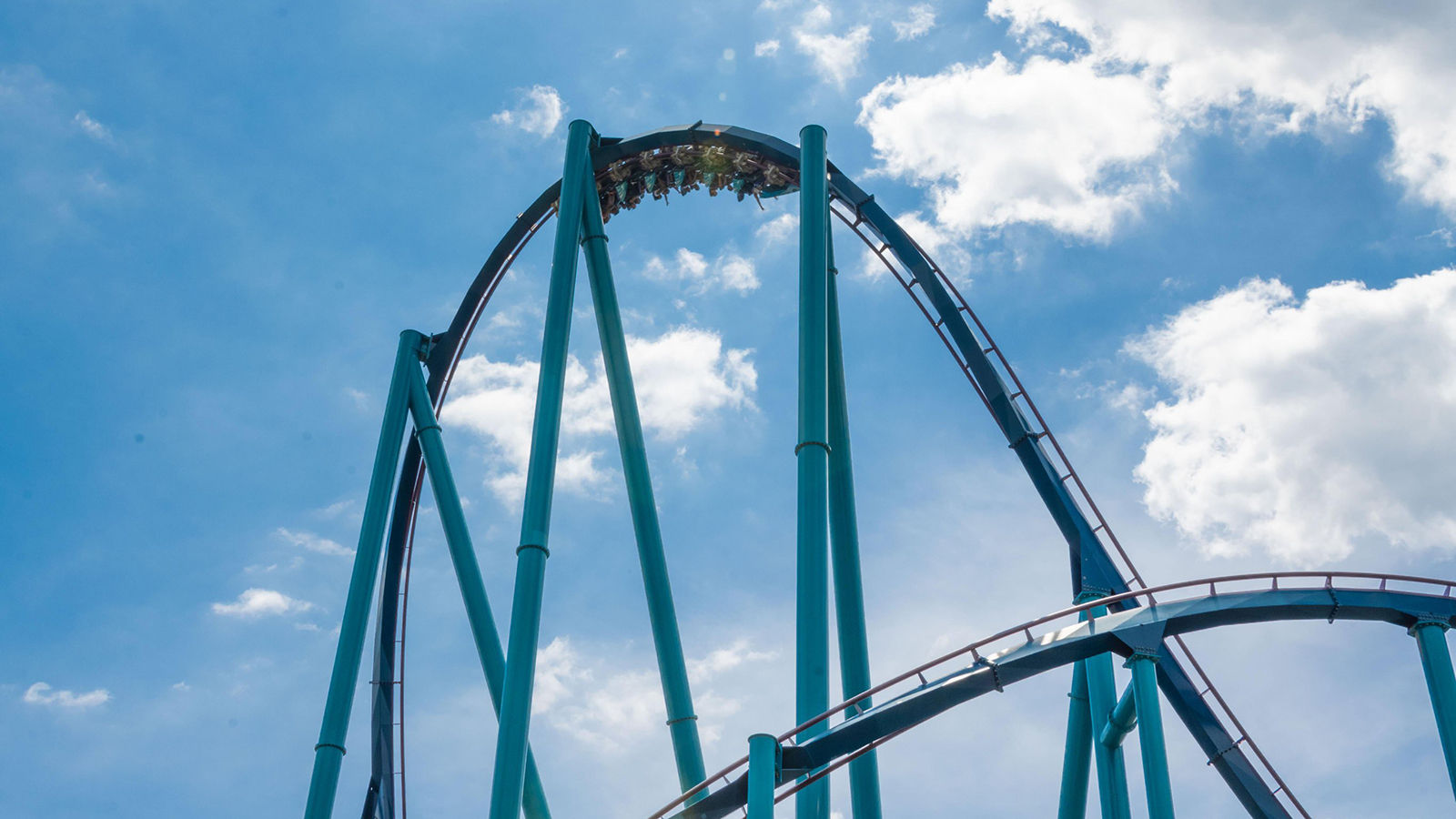 SeaWorld Orlando giving free tickets to veterans, while Glow or Go escape room does the same for teachers