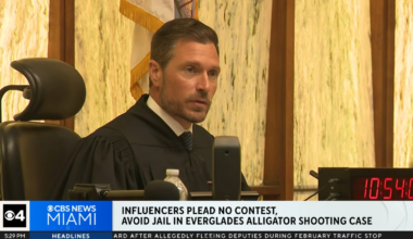 A screenshot of news broadcast showing a judge seated in a courtroom.
