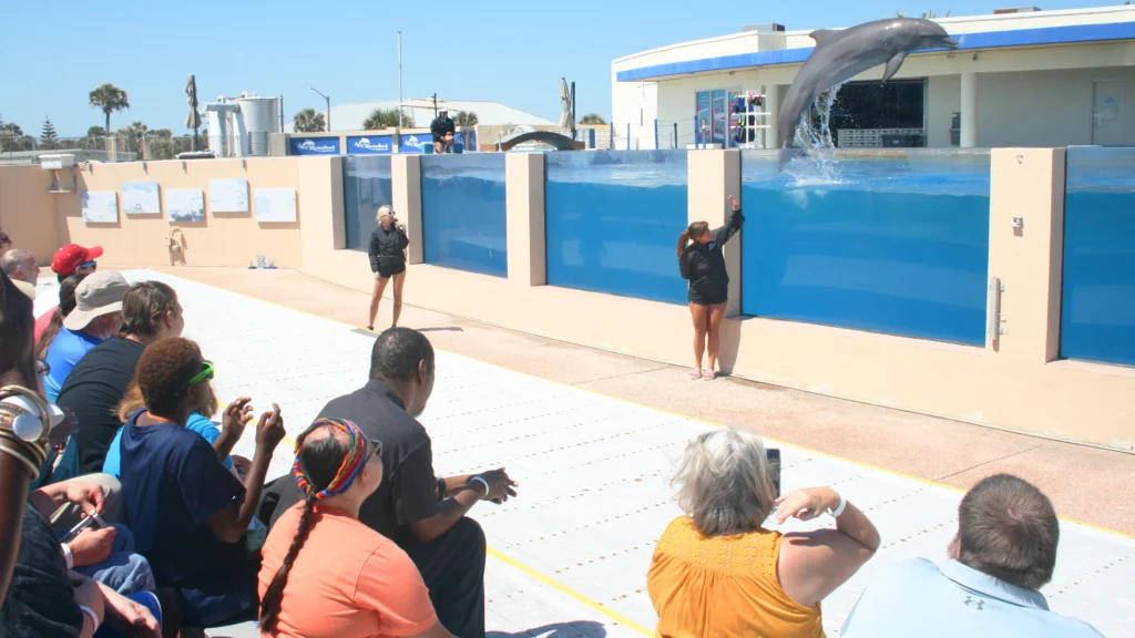 Marineland frequently hosts field trips for kids and families to see dolphins up close and personal. 