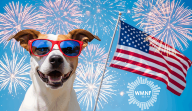 Memorial Day Weekend Events Tampa