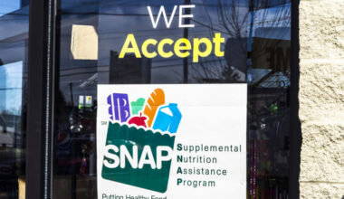 Florida budget considers AI for SNAP eligibility