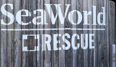 SeaWorld rescue teams surpass 43,000 animals saved