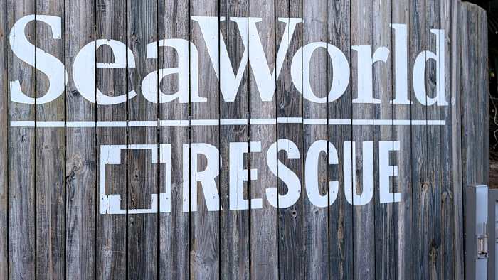 SeaWorld rescue teams surpass 43,000 animals saved
