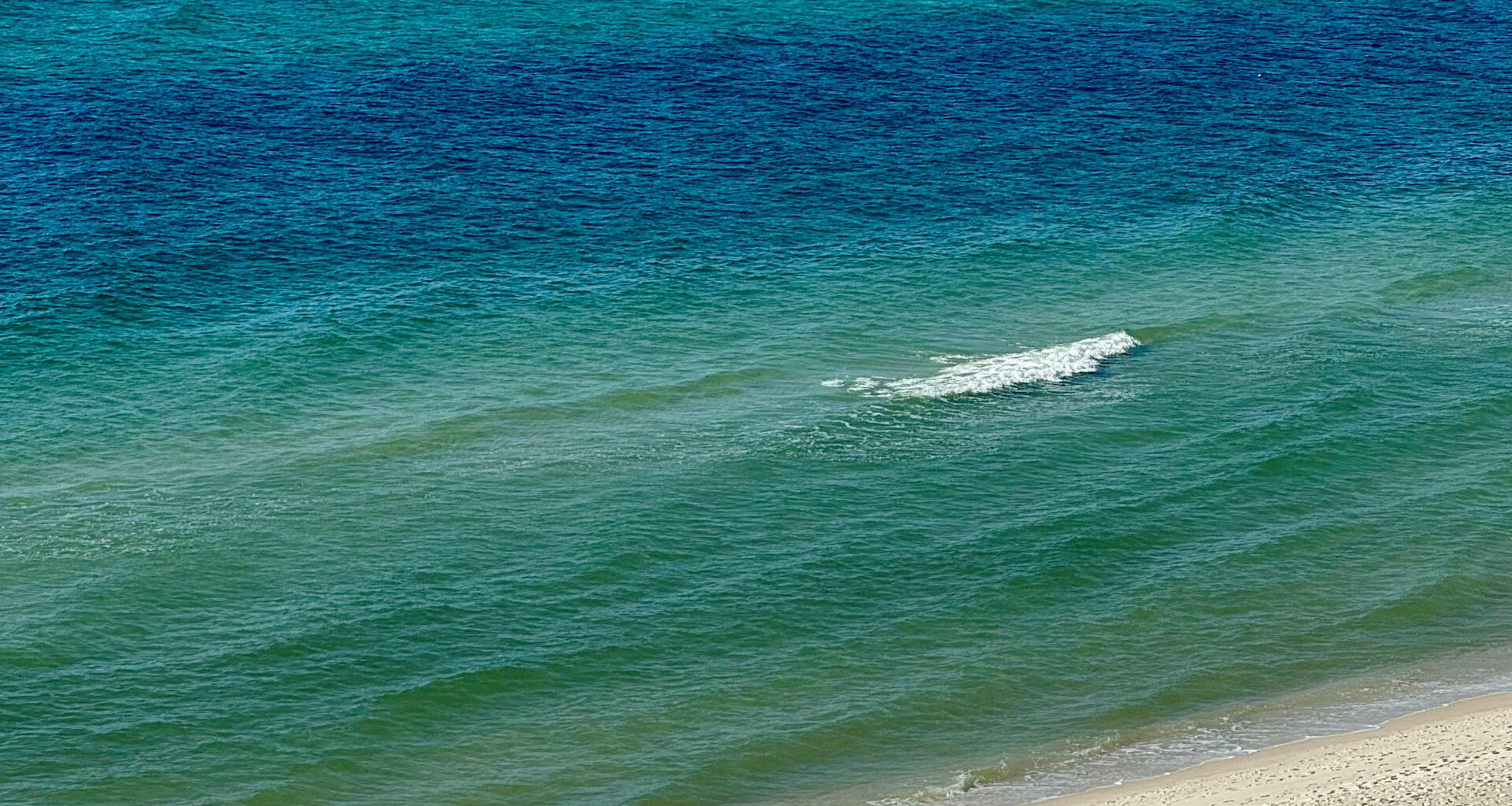 Protect This Place: The Florida Panhandle vs. Petrochemicals • The Revelator
