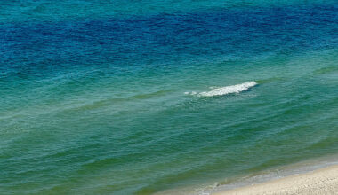 Protect This Place: The Florida Panhandle vs. Petrochemicals • The Revelator