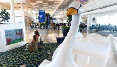 Orlando International Airport opens ‘Flybrary’ reading nook