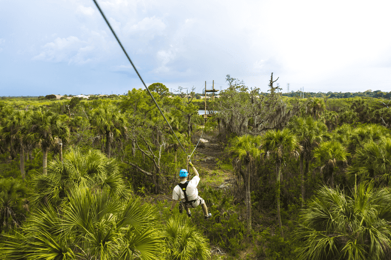 Overcoming a Fear of Heights in a Safe Environment