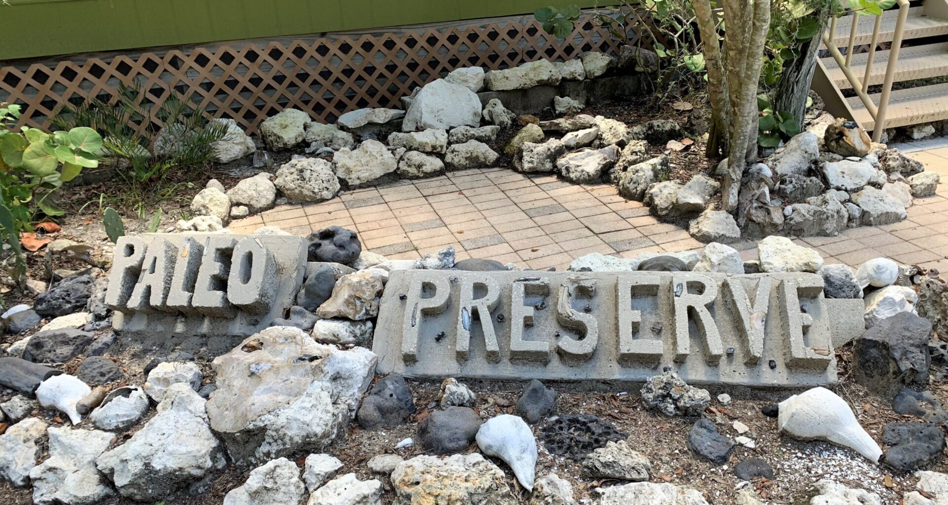 Don’t let this local treasure go extinct – The Observer News