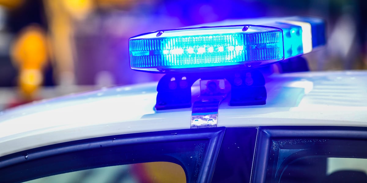 Tampa police arrest 22 after ‘teen takeover’ disrupts park