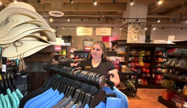 Overcoming developmental disabilities in the workplace