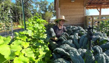 The Grow farm manager Nicole Bluh helps grow food that residents in the new development will be able to eat. When completed, 9 acres of farmland will surround some 2,100 homes in east Orlando. (Spectrum News/Randy Rauch)