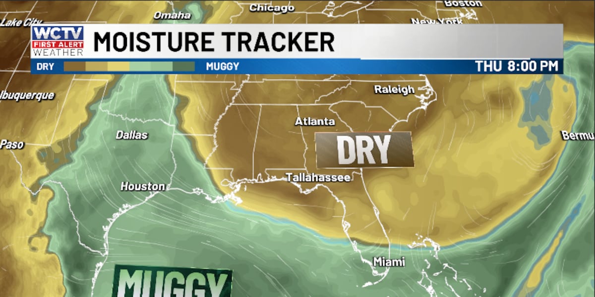 June starts sticky—brief relief arrives midweek 👀