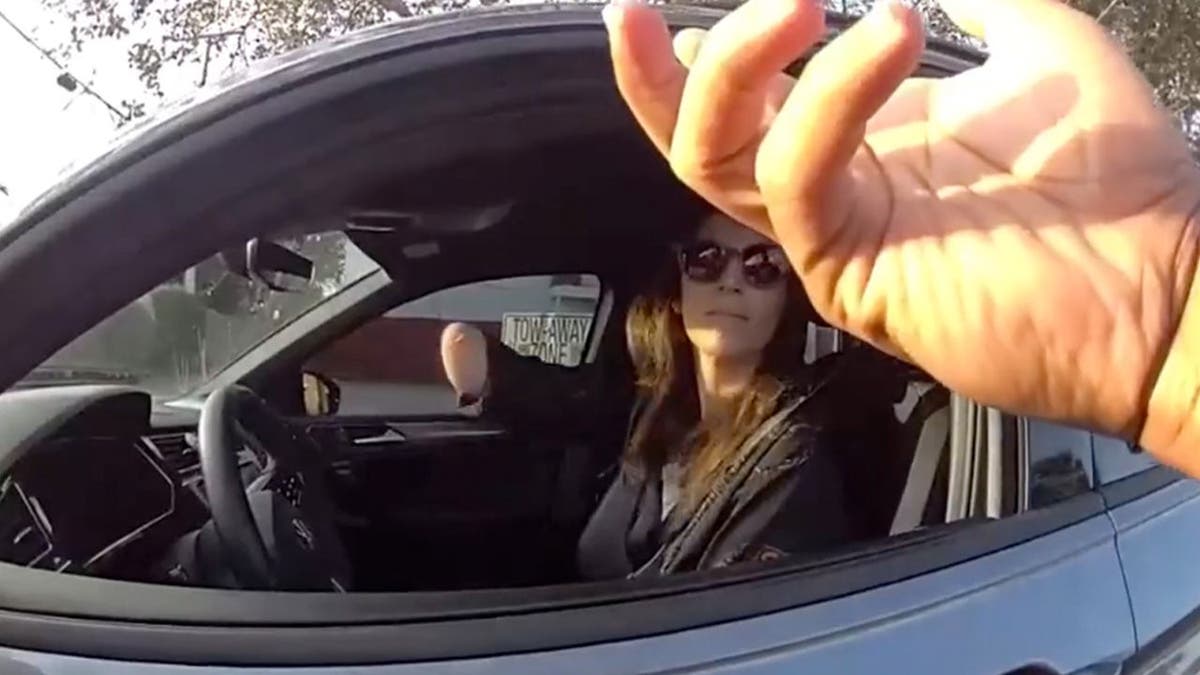 Driver speaking with officer