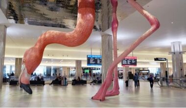 DooH: Pattison Enters U.S. Airport Market With Tampa Deal