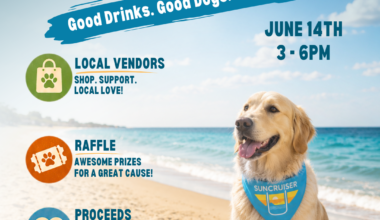 Paws + Pours - St Pete Catalyst
