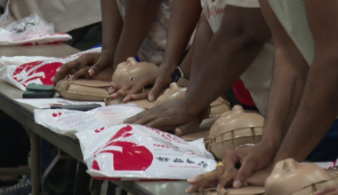 Hundreds attend annual Press the Chest CPR event hosted by Leon County