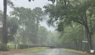 Most utility outages fixed in Big Bend, South Georgia after Hurricane Debby wiped out power for over 95,000