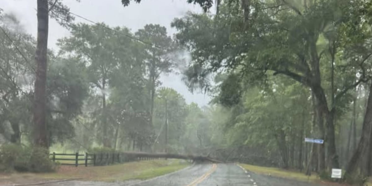 Most utility outages fixed in Big Bend, South Georgia after Hurricane Debby wiped out power for over 95,000