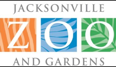 Jacksonville Zoo discounts admission to $10 for five summer Tuesdays