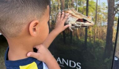 Refuge provides update on WoW - SANIBEL-CAPTIVA