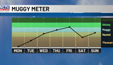 Cam is looking ahead to better rain chances 🌦️