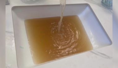 Sunny Hills water concerns: public officials provide next steps and resources