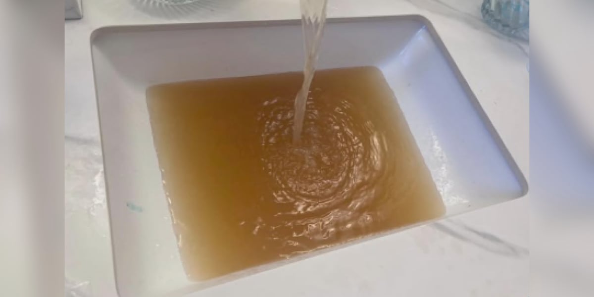 Sunny Hills water concerns: public officials provide next steps and resources