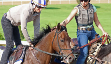 Closely cropped photo of Redland Rebels being ponied during a morning exercise. The person ponying Redland Rebels reaches over to pet him behind his ears from her horse, while his exercise rider smiles. (Photo: ©Cady Coulardot / Coady Media)